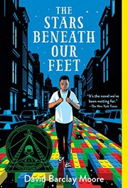 The stars beneath our feet  Cover Image