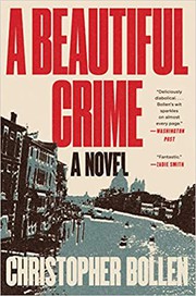 A beautiful crime : a novel  Cover Image