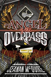 Angel of the overpass  Cover Image