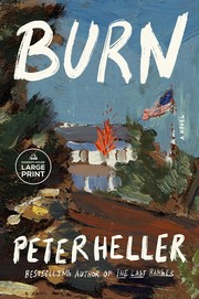 Burn a novel  Cover Image