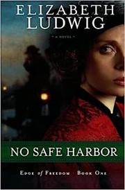 No safe harbor : a novel  Cover Image